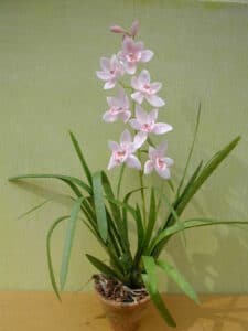 Miniature blomster KIT i lyserød