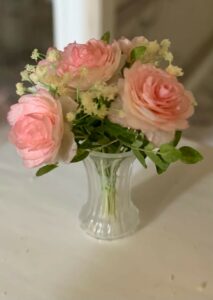 Engelsk rose KIT
