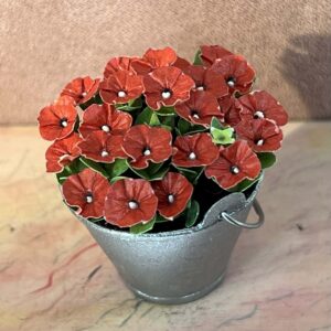 Miniature Petunia i rød