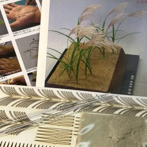 Dukkehus græs plante KIT