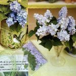 Miniature Syrener som blomsterkit