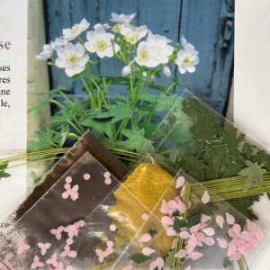 Miniature blomster - kit til at lave Høstanemoner