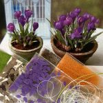 Miniature Flower kit for Crocus in 1:12